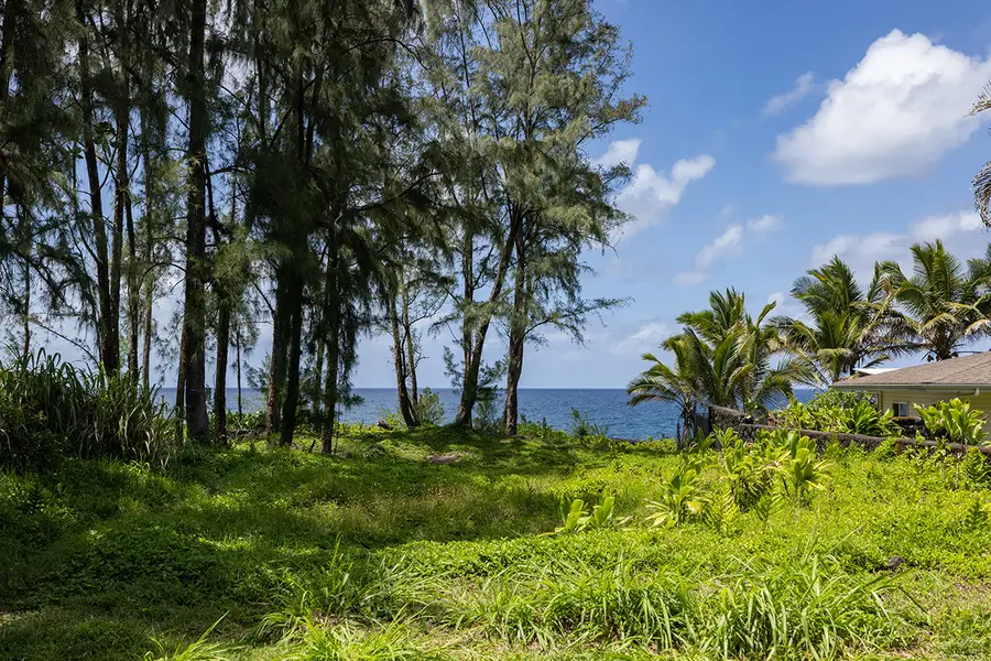 Ala Heiau Rd, Keaau, HI 96749 - #2