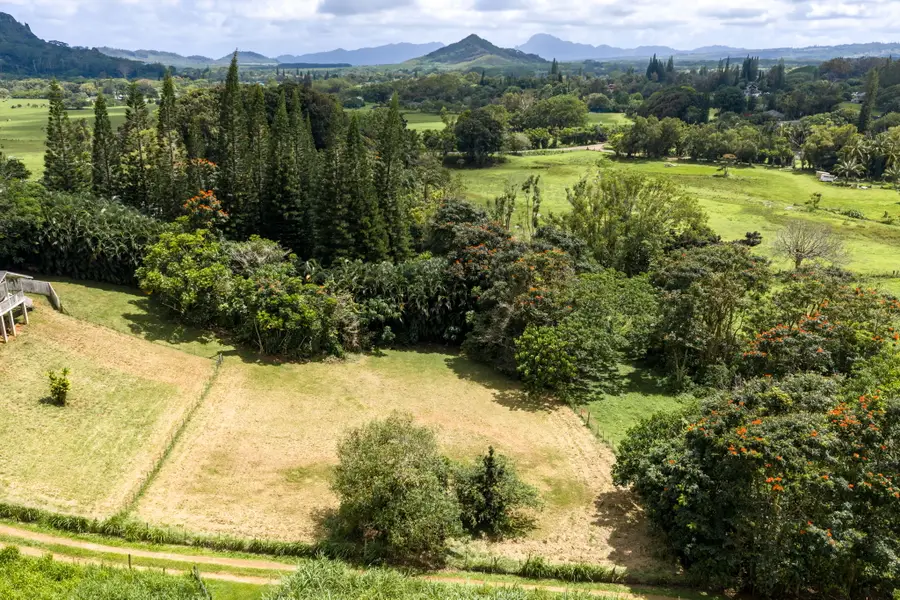 Puuopae Rd, Kapaa, HI 96746 - #2