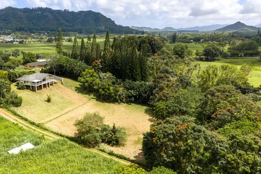 Puuopae Rd, Kapaa, HI 96746 - #3