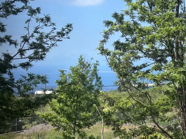 92-8424 King Kamehameha Blvd, Ocean View, HI 96737 - #3