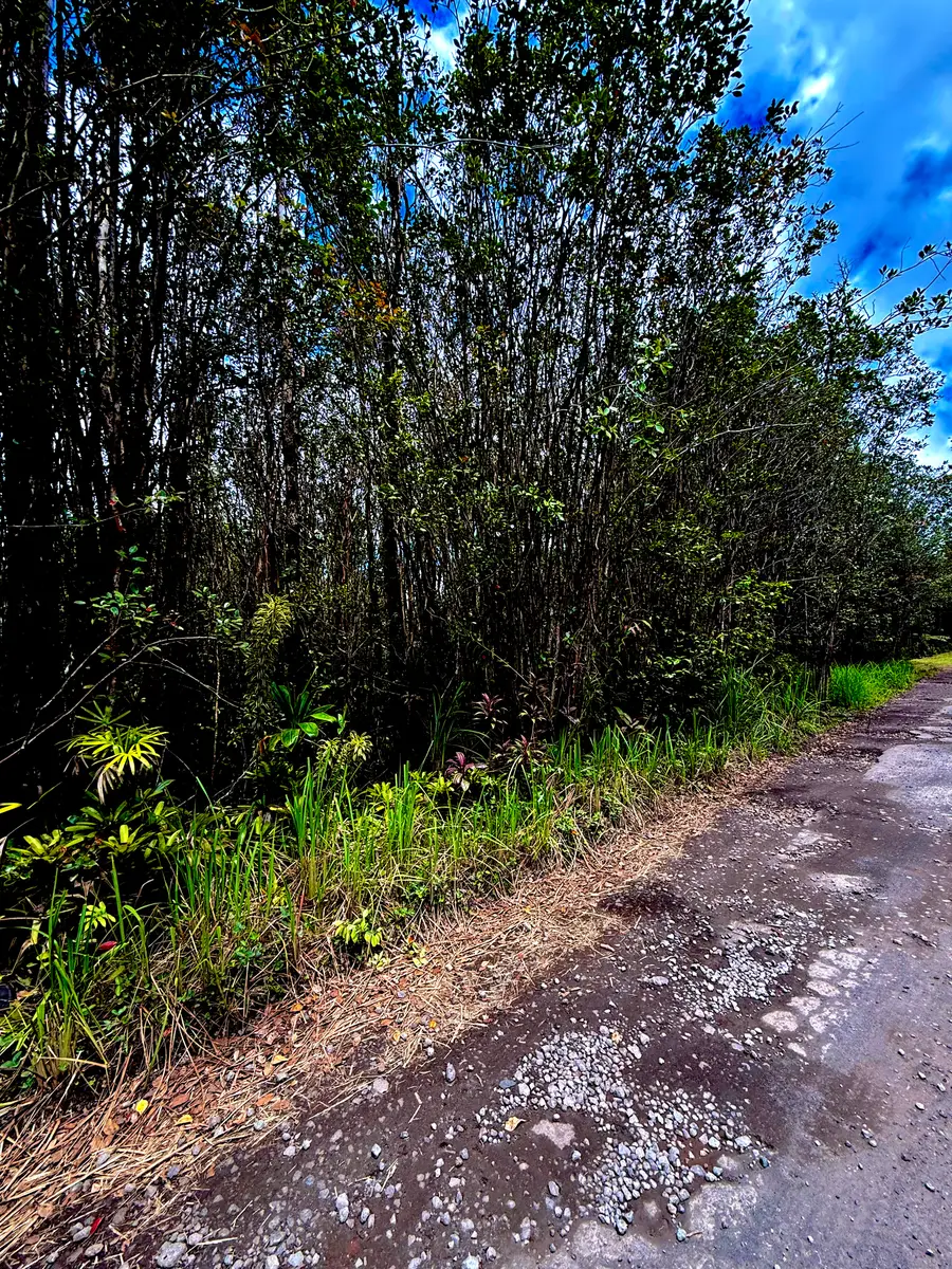 Road 1 (uhini Ana), Mountain View, HI 96771 - #2