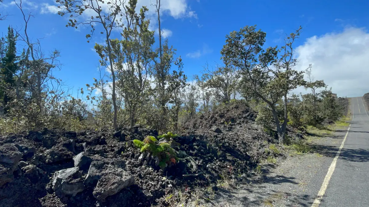 Outrigger Dr, Ocean View, HI 96737 - #1