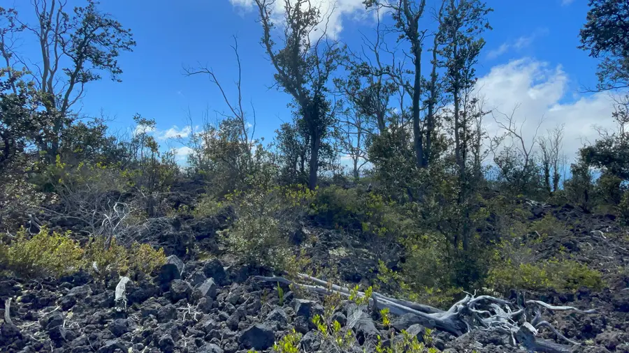 Outrigger Dr, Ocean View, HI 96737 - #2