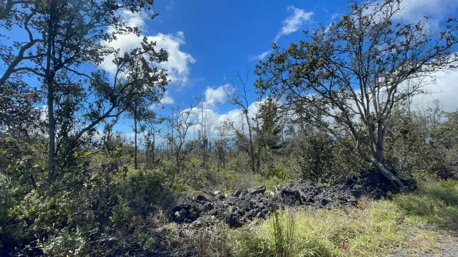 Outrigger Dr, Ocean View, HI 96737 - #3