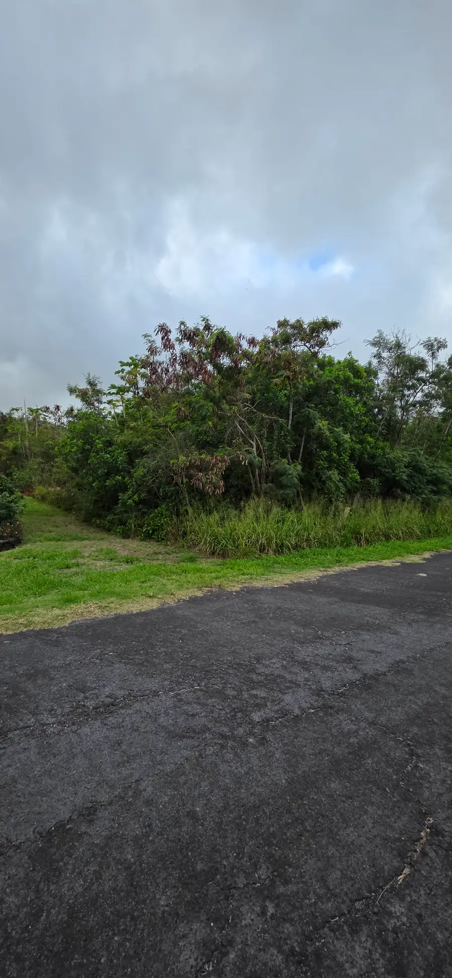 Kia Kahi St, Naalehu, HI 96772 - #2