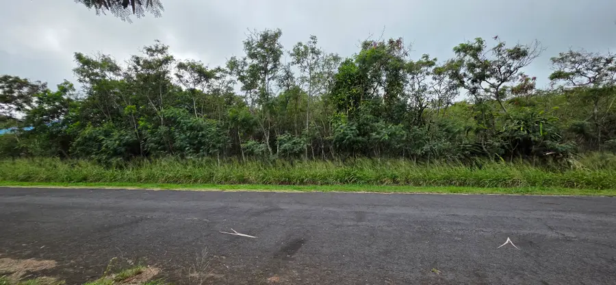 Kia Kahi St, Naalehu, HI 96772 - #3