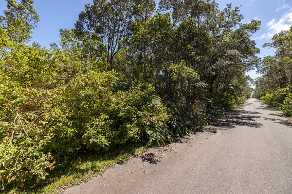 11th St, Volcano, HI 96785