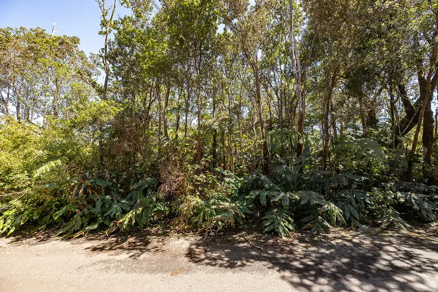 11th St, Volcano, HI 96785 - #2