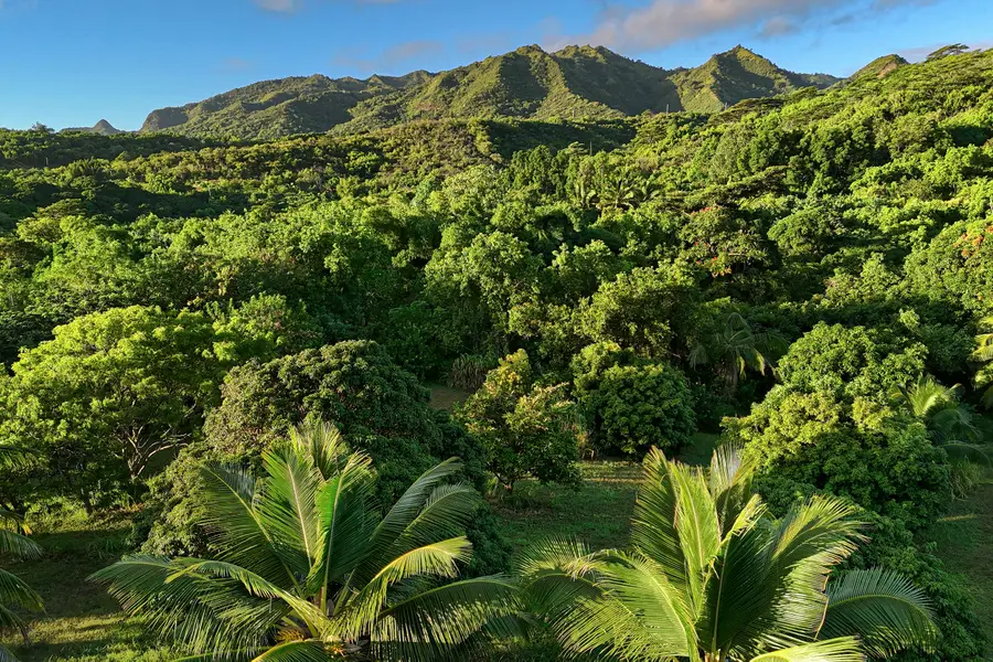 6565-C Koolau Rd, Wailua Anahola, HI 96746 - #2