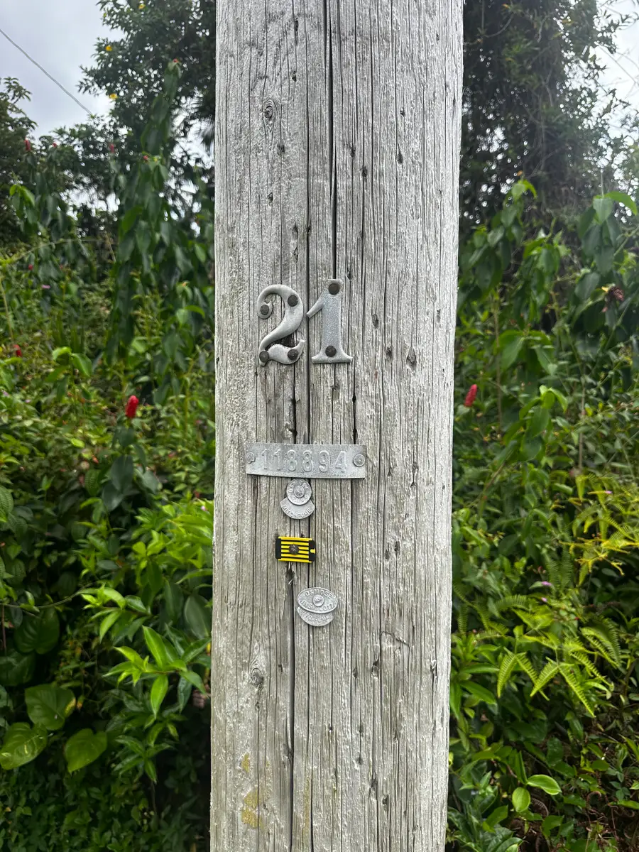 Alapai St, Pahoa, HI 96778 - #3