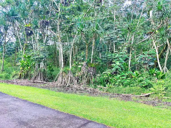 S Ohiki St, Pahoa, HI 96778