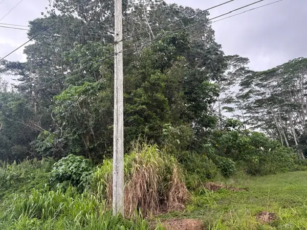 Iao St, Pahoa, HI 96778