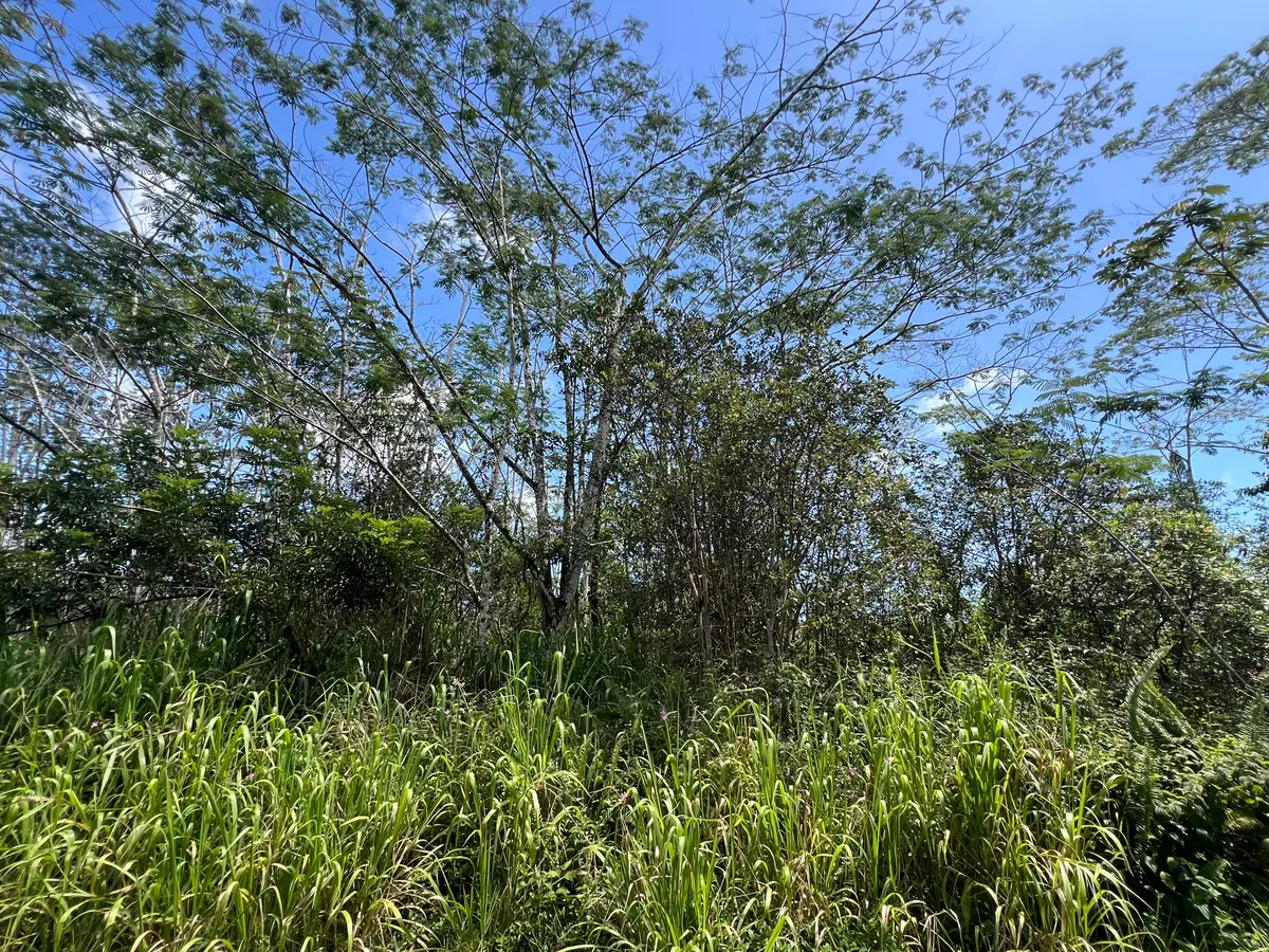 Kailua Rd, Pahoa, HI 96778 - #1