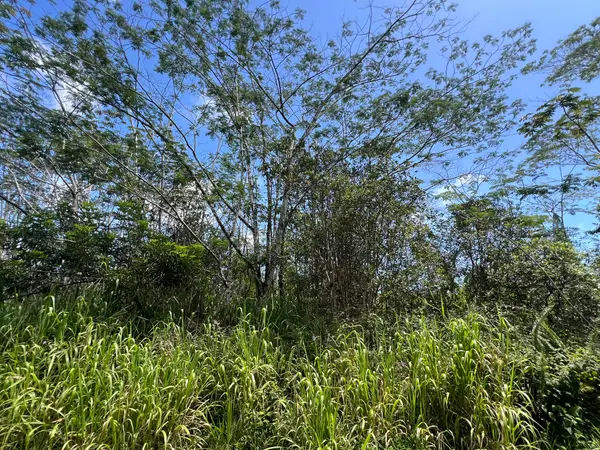 Kailua Rd, Pahoa, HI 96778