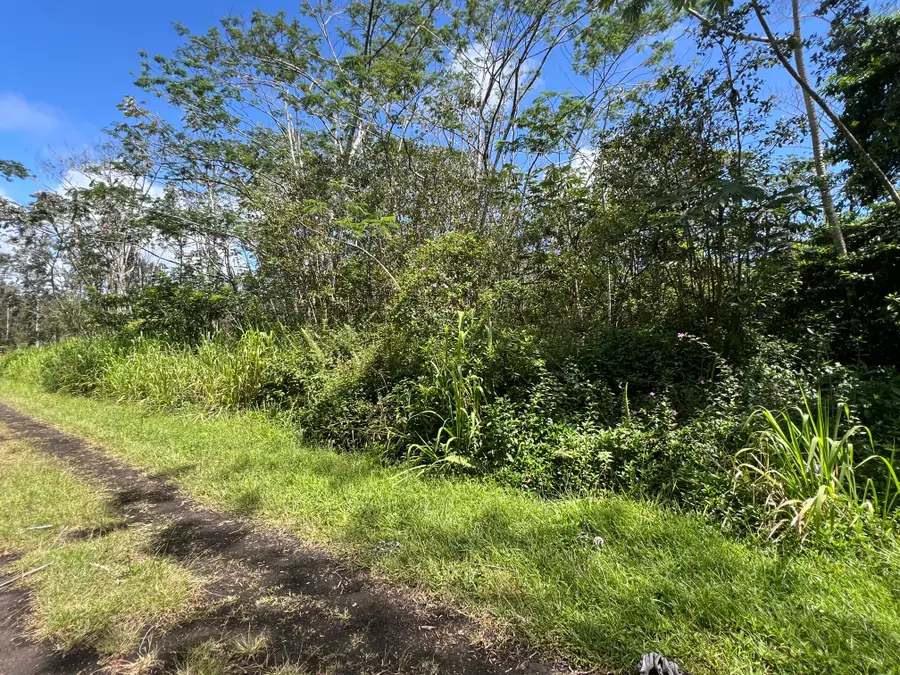Kailua Rd, Pahoa, HI 96778 - #2