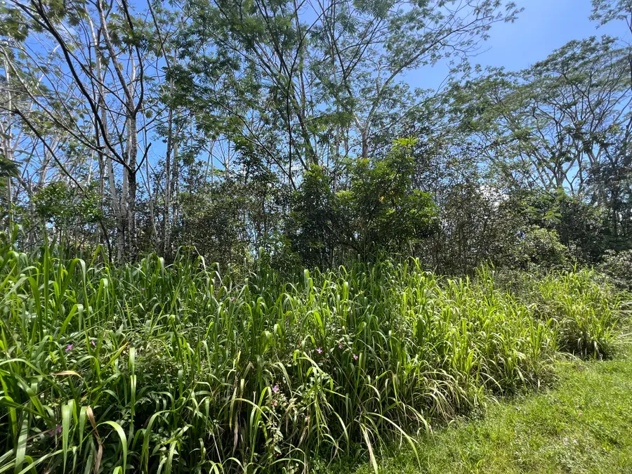 Kailua Rd, Pahoa, HI 96778 - #3