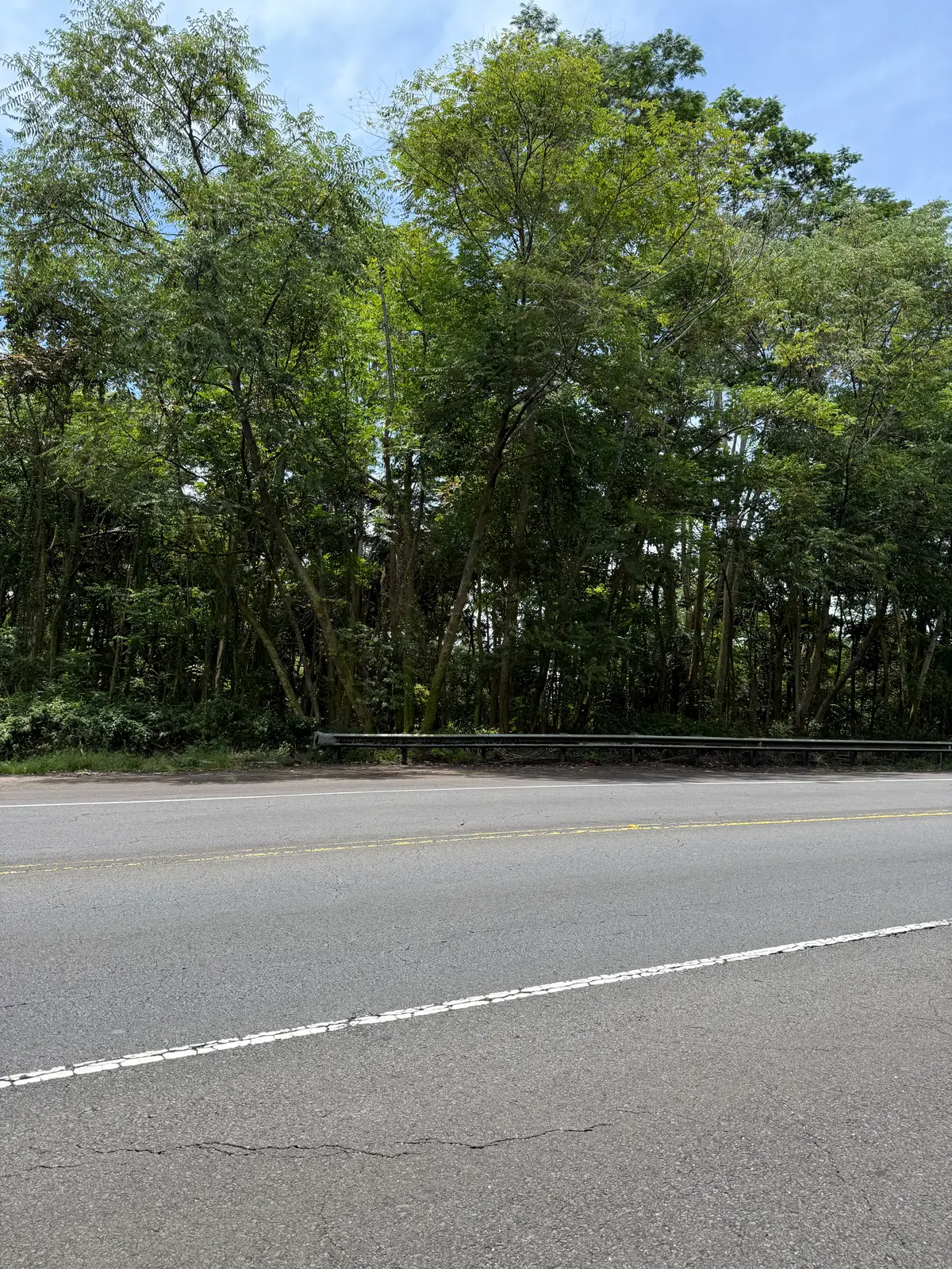 Puainako Extension, Hilo, HI 96720 - #1