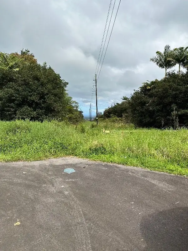 Puainako St. Extension, Hilo, HI 96720 - #2