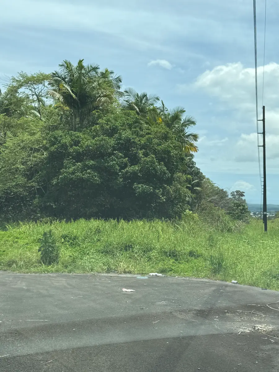 Puainako St. Extension, Hilo, HI 96720 - #3