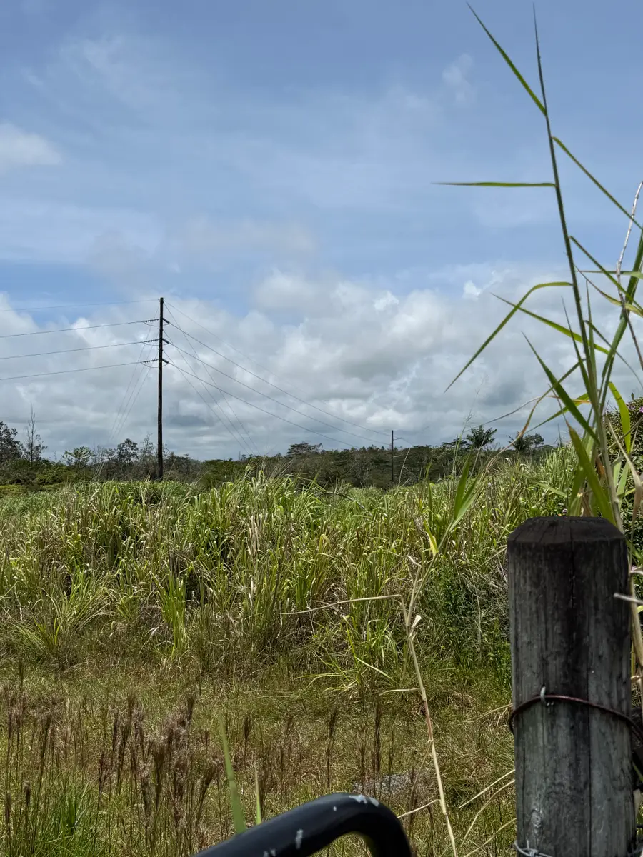 Puainako St. Extension, Hilo, HI 96720 - #2
