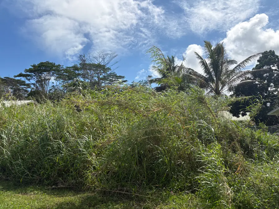 Honu St, Pahoa, HI 96778 - #2