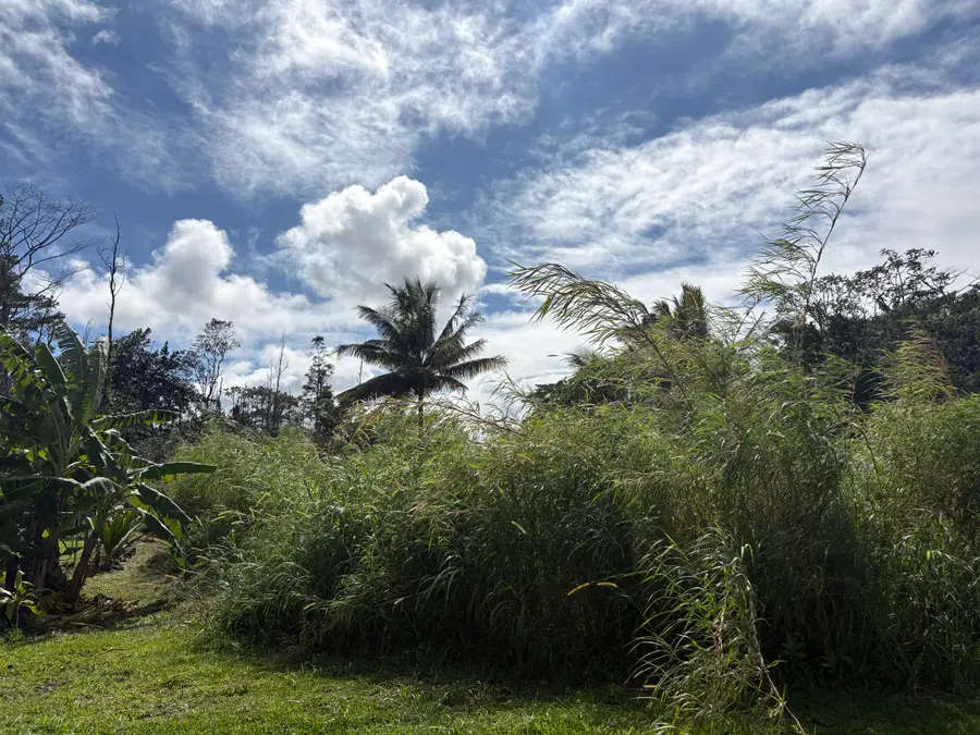 Honu St, Pahoa, HI 96778 - #3
