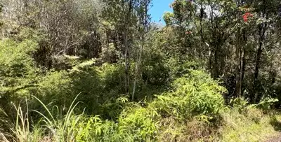 Road 12, Mountain View, HI 96771