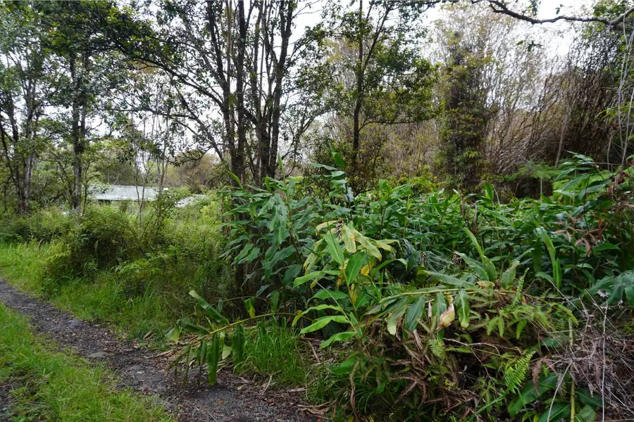 Road 12, Mountain View, HI 96771 - #3