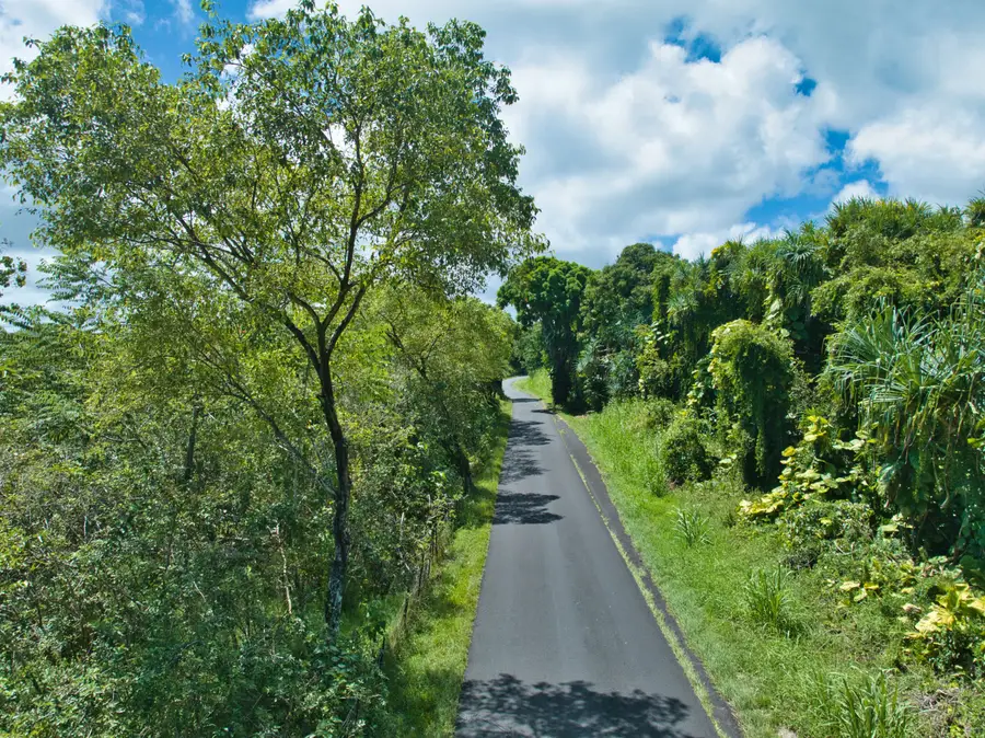 Opihikao Rd, Pahoa, HI 96778 - #2