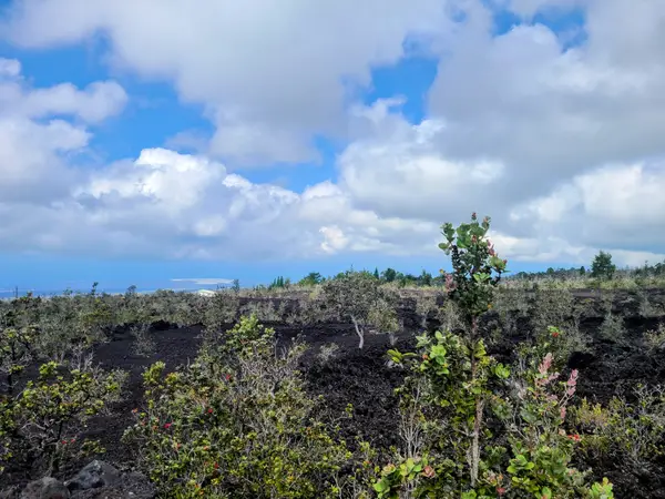 Address Withheld By Seller, Ocean View, HI 96737