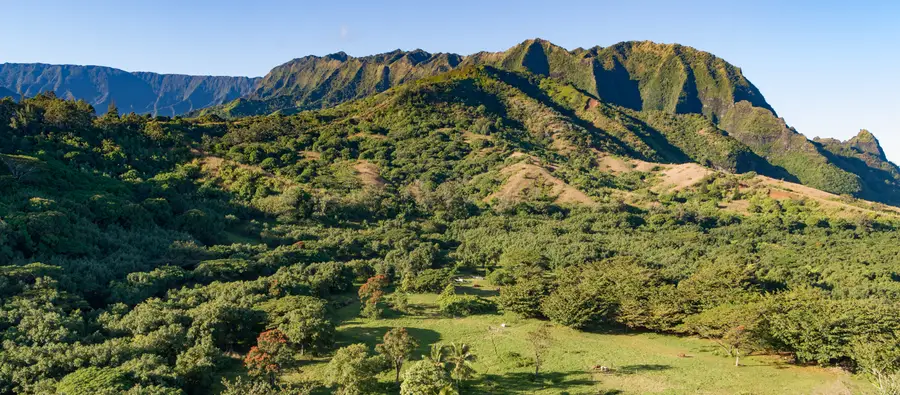 Cr Kuhio Hwy/alamihi Rd, Hanalei, HI 96714 - #3