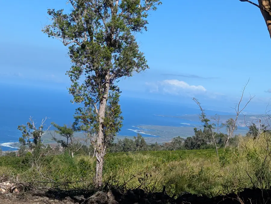 87-1081 Haleili Rd, Captain Cook, HI 96704 - #3