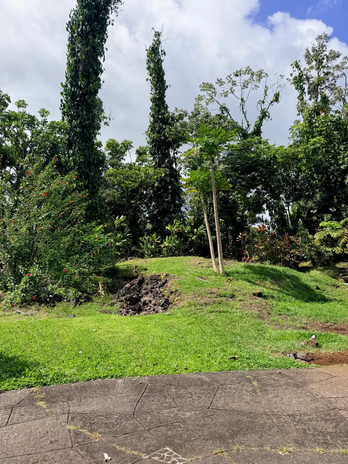 Manalo St, Pahoa, HI 96778 - #1