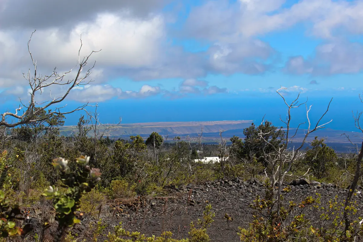 Koa Ln, Ocean View, HI 96737 - #1