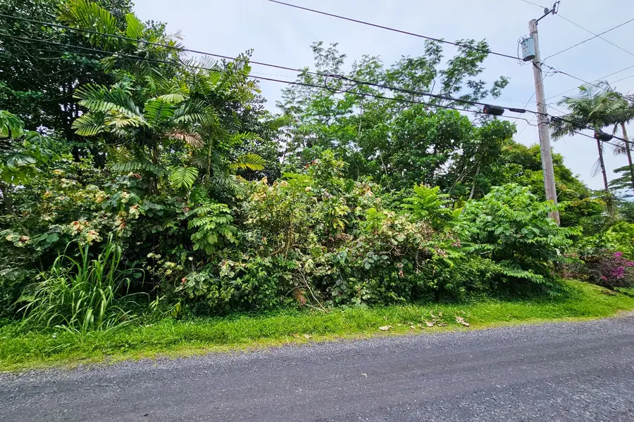 6th Ave #Lot 2247, Keaau, HI 96749 - #2