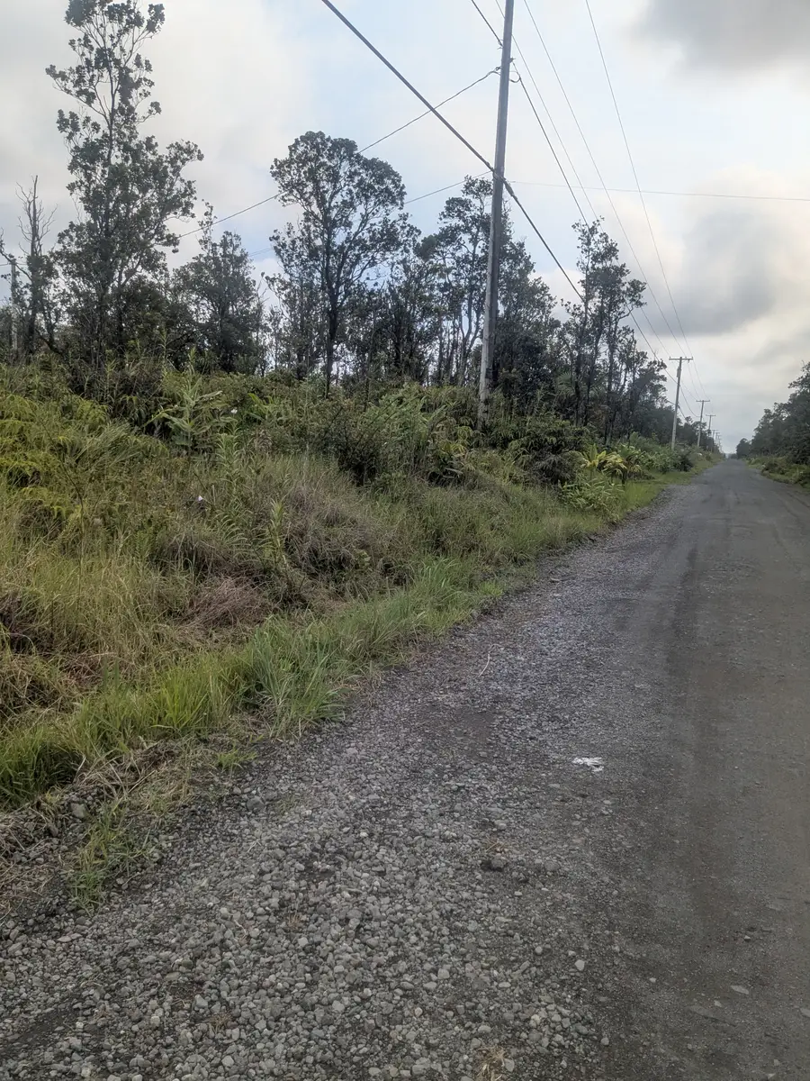 Kaleponi Dr, Volcano, HI 96785 - #2