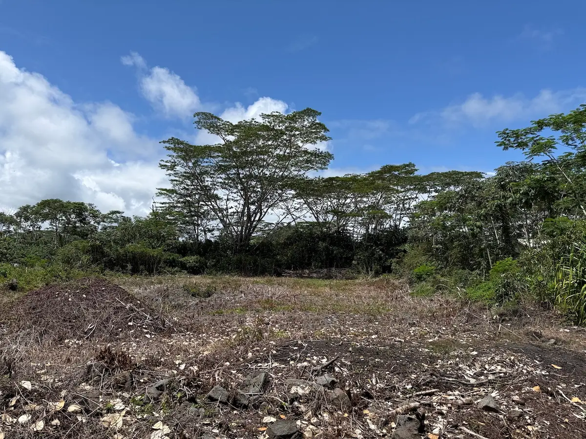 11th Ave, Keaau, HI 96749 - #1
