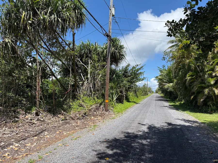 11th Ave, Keaau, HI 96749 - #2