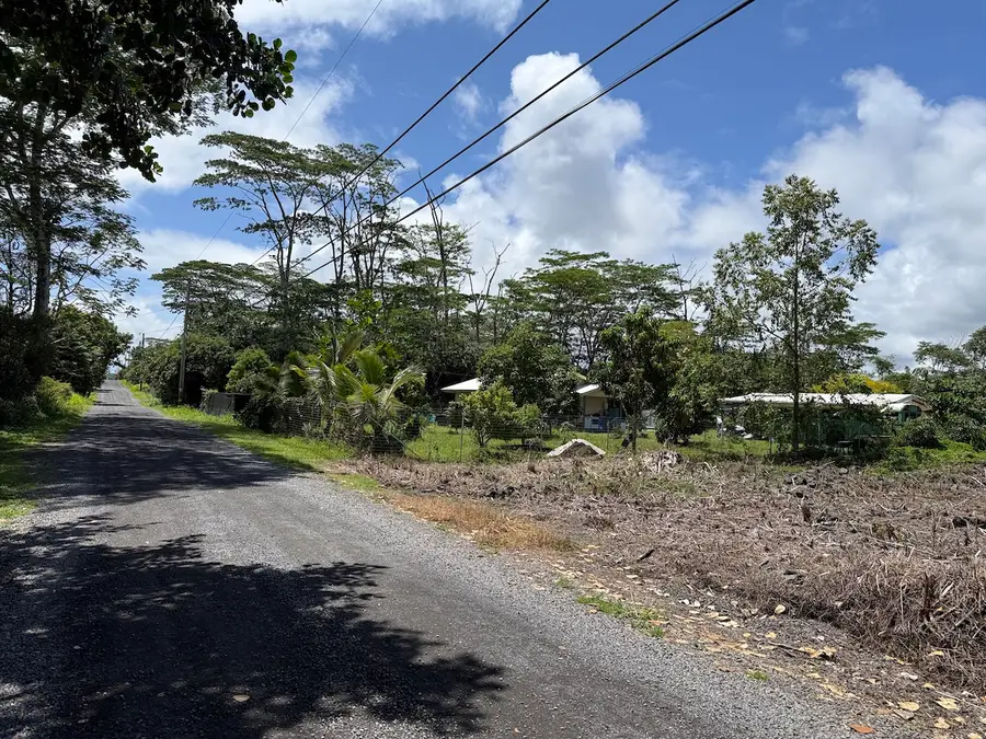 11th Ave, Keaau, HI 96749 - #3