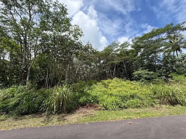 Mano St, Pahoa, HI 96778 - #2