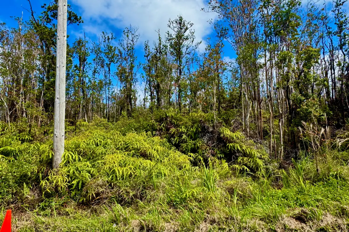 11-2466 Makoa Rd, Volcano, HI 96785 - #1