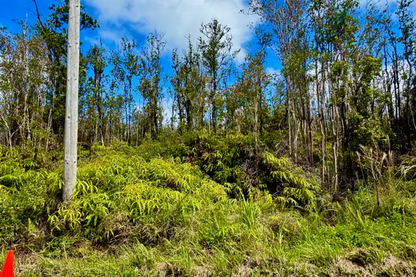 11-2466 Makoa Rd, Volcano, HI 96785
