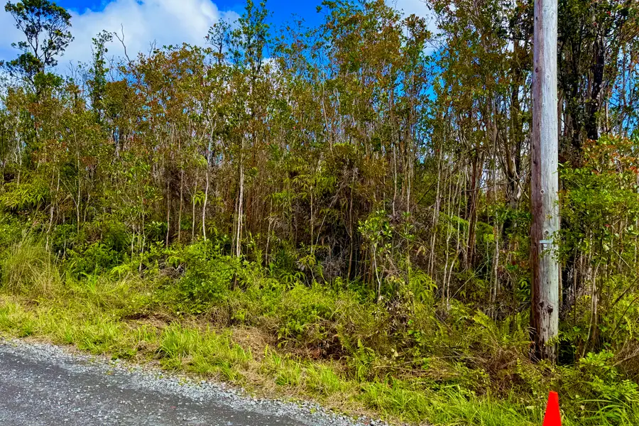 11-2470 Makoa Rd, Volcano, HI 96785 - #3