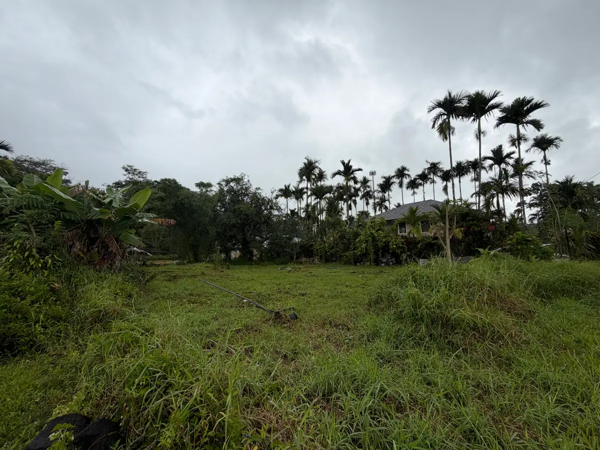 Iwasaki Village, Kurtistown, HI 96760 - #1