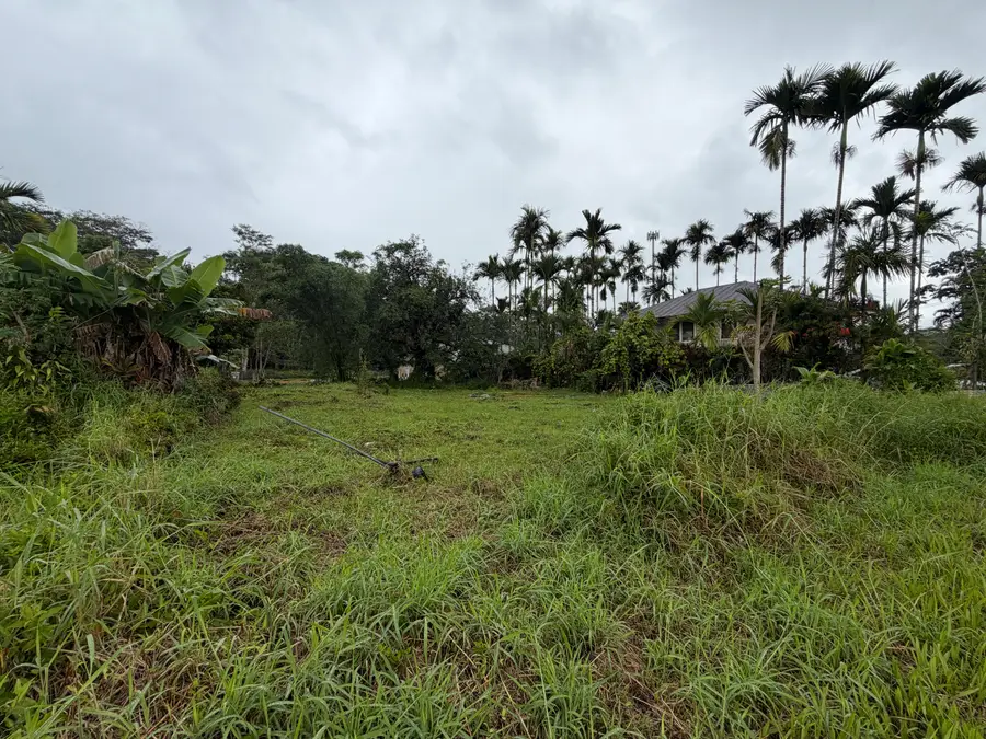 Iwasaki Village, Kurtistown, HI 96760 - #2