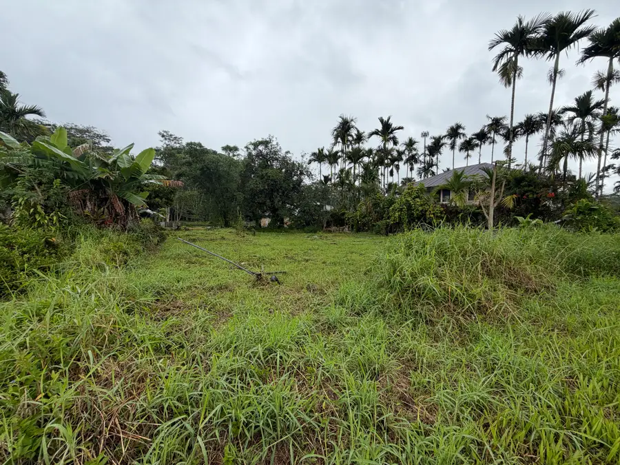 Iwasaki Village, Kurtistown, HI 96760 - #3