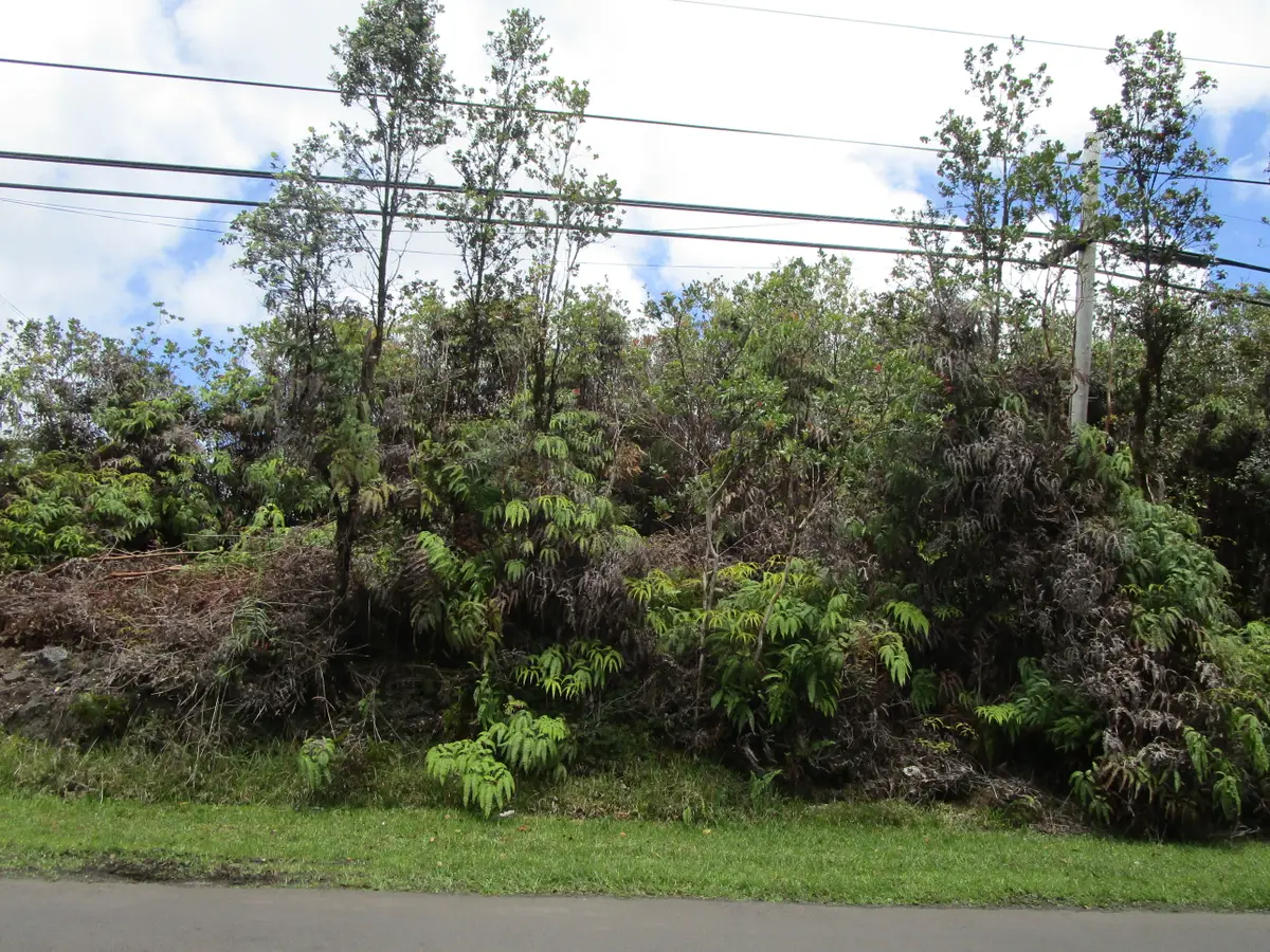 Palainui Ave, Mountain View, HI 96771 - #1