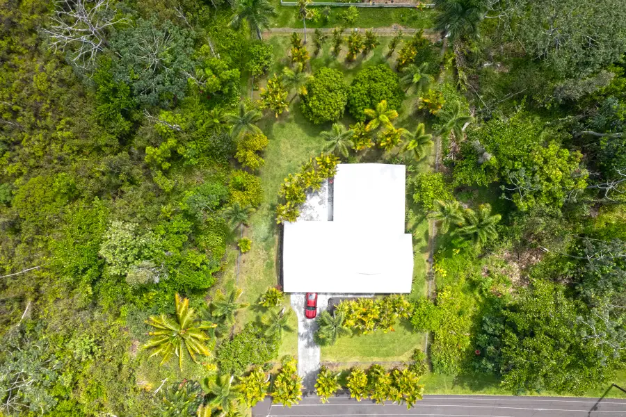 15-2792 Au St, Pahoa, HI 96778 - #2