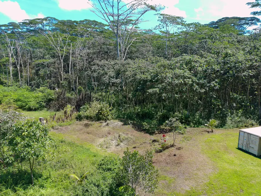 14-3332 Lehua Rd, Pahoa, HI 96778 - #3