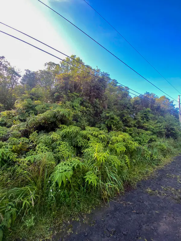 18-1259 Kauai St, Mountain View, HI 96771